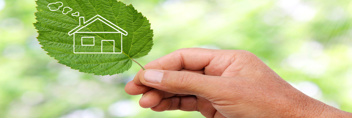 A leaf showing a home energy symbol