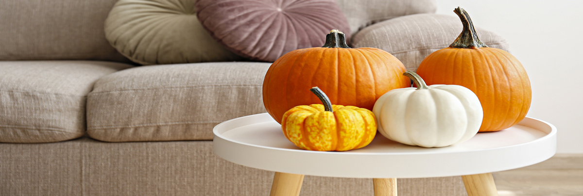 A table of pumpkins in a living room