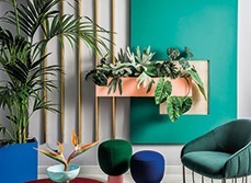 A livingroom with green colour block wall