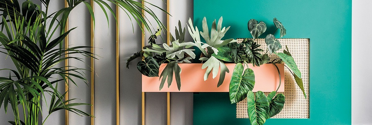 A livingroom with green colour block wall
