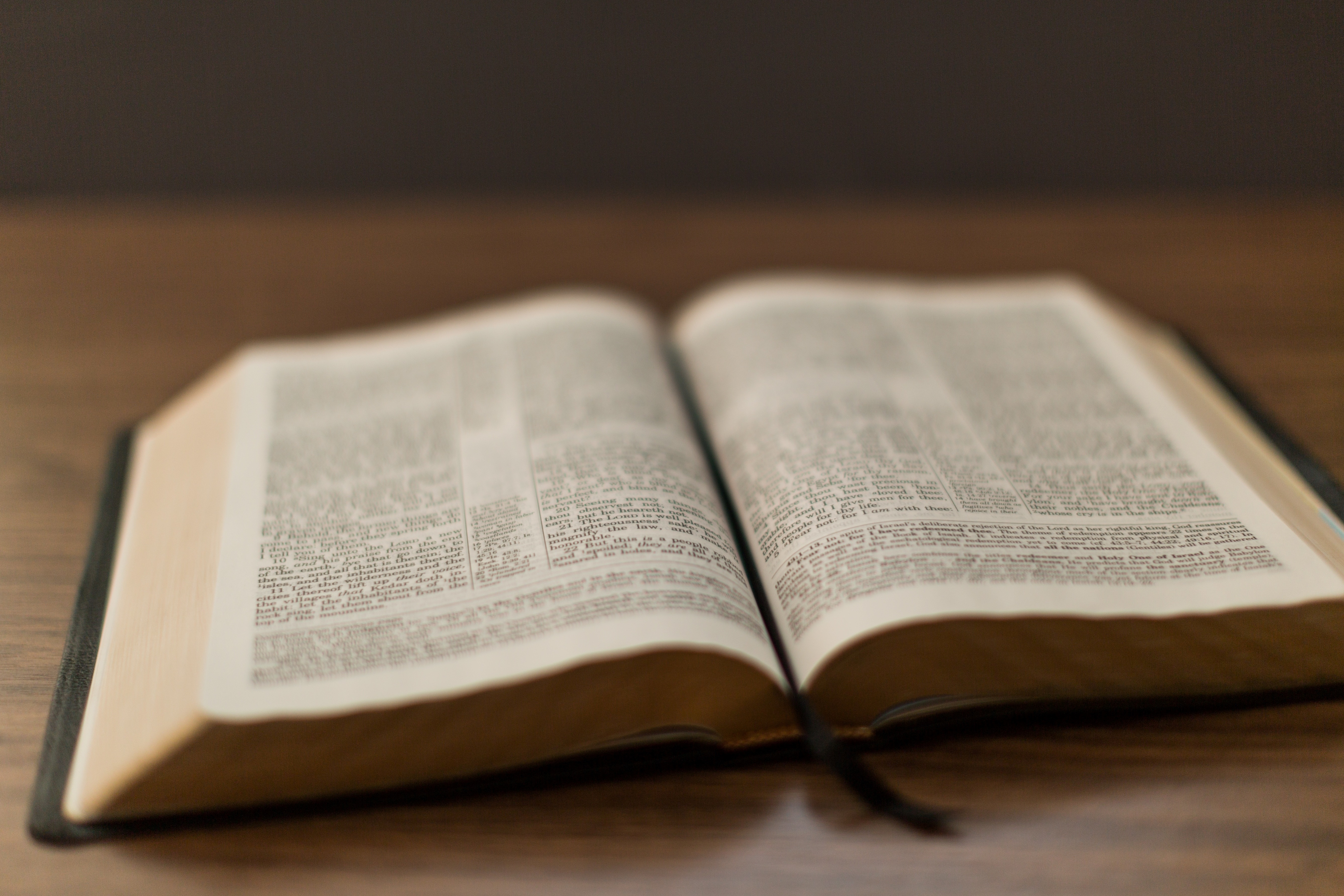 Dwelling in the Word:
