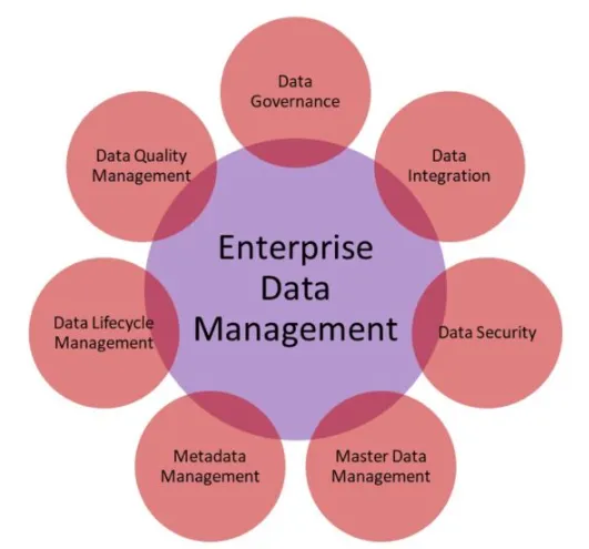 Enterprise Data Management