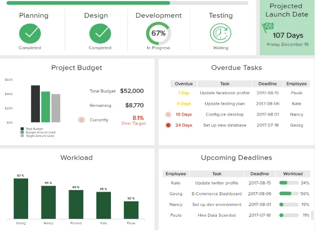 Project Management Data Report