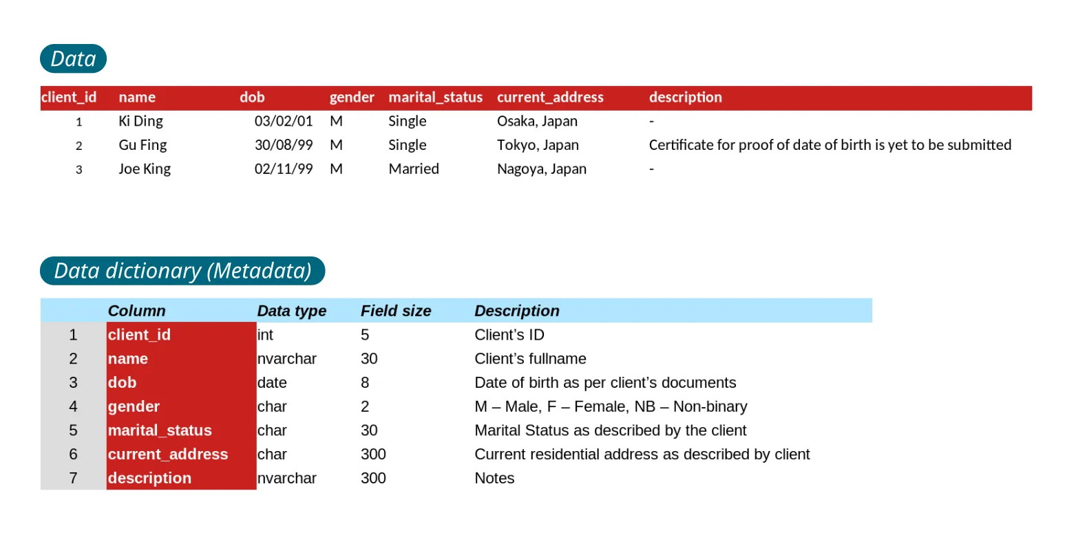 Data Dictionary Example