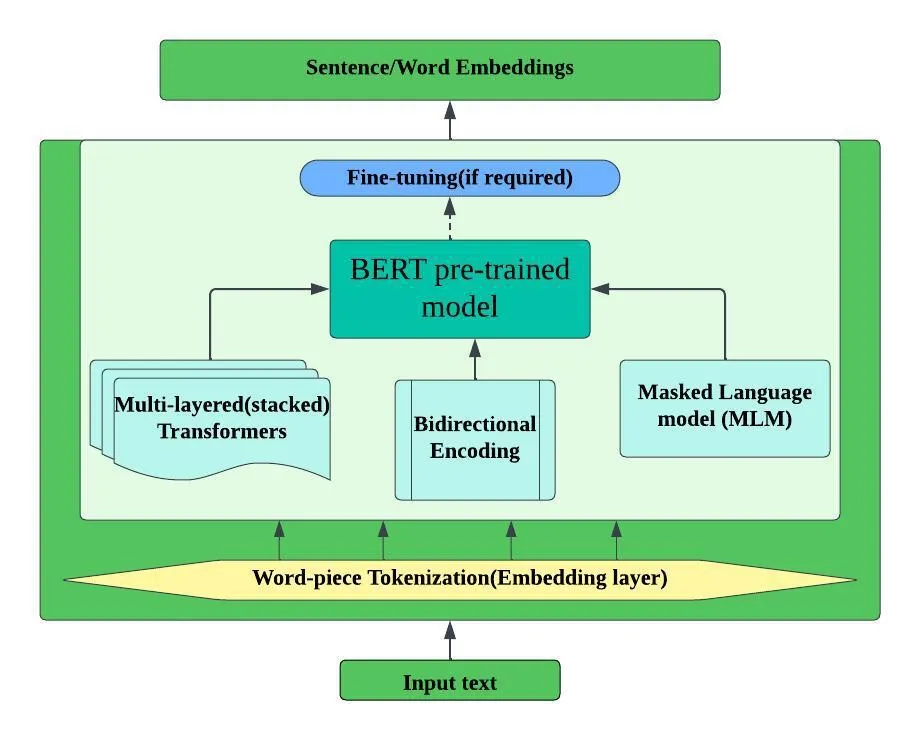 BERT model architecture