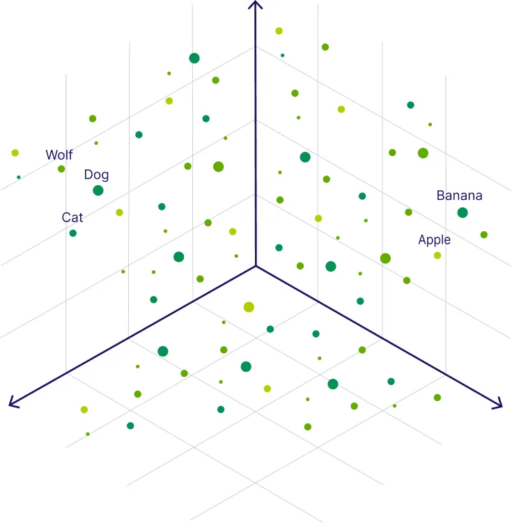 Vector Representation