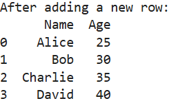 Adding a New Row in a DataFrame