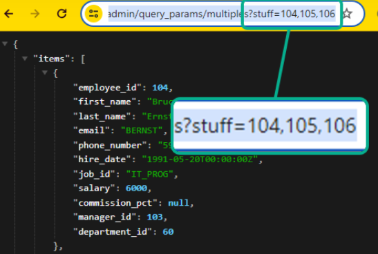 Query Parameters