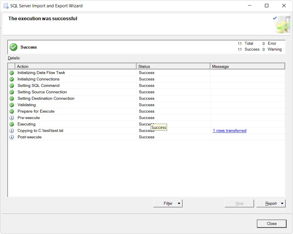 Successful Data Export in SSMS