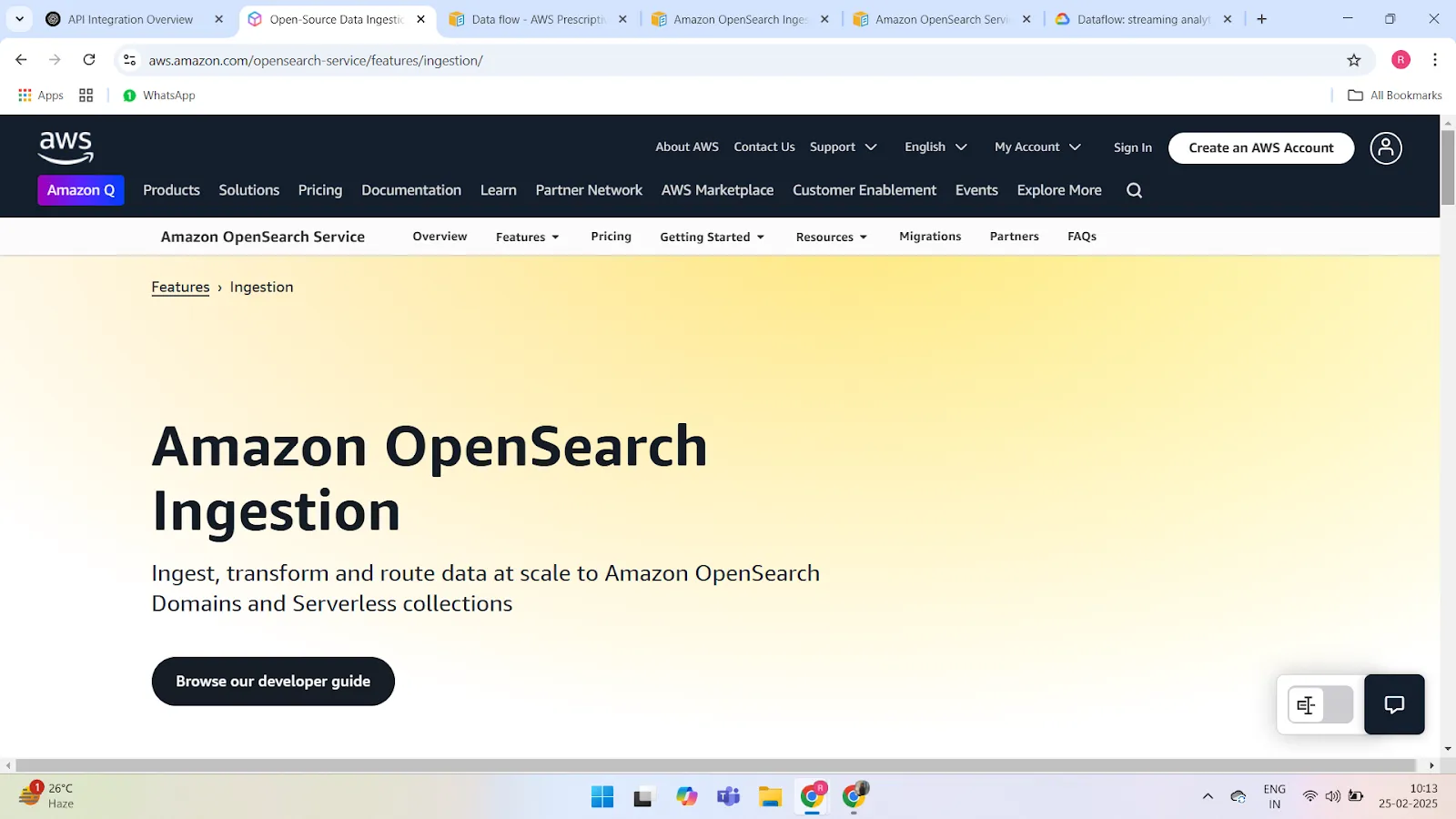 Amazon OpenSearch Ingestion