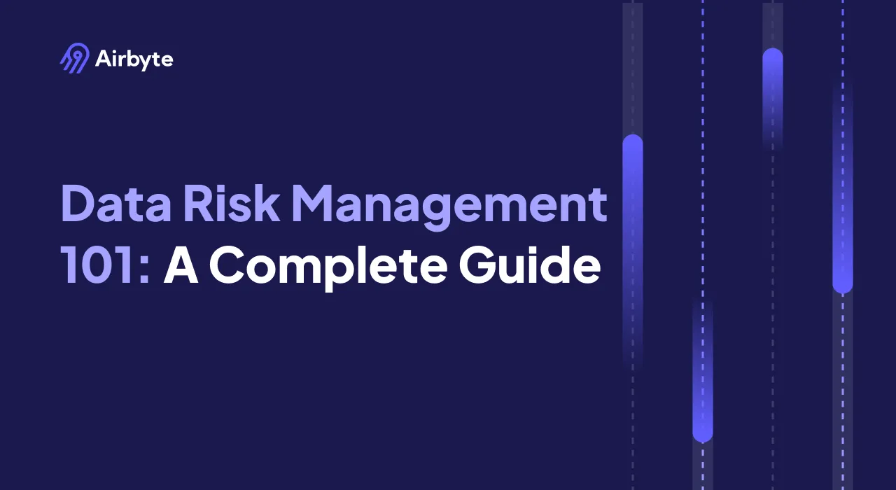 Data Risk Management 101: A Complete Guide