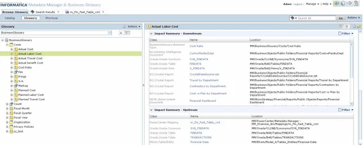 Informatica Metadata Manager