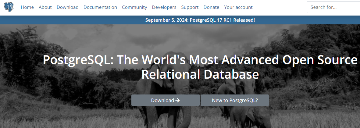 PostgreSQL