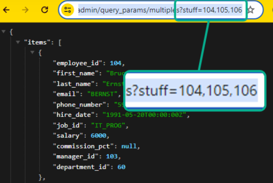 Image 7: Query Parameters