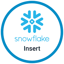 Snowflake Insert Command