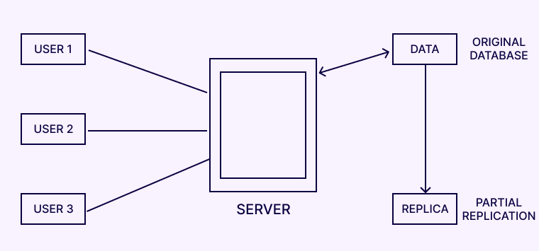 Partial Replication