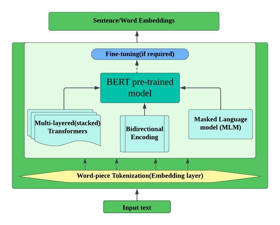 BERT model architecture