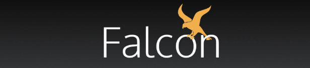 Image 6: Falcon