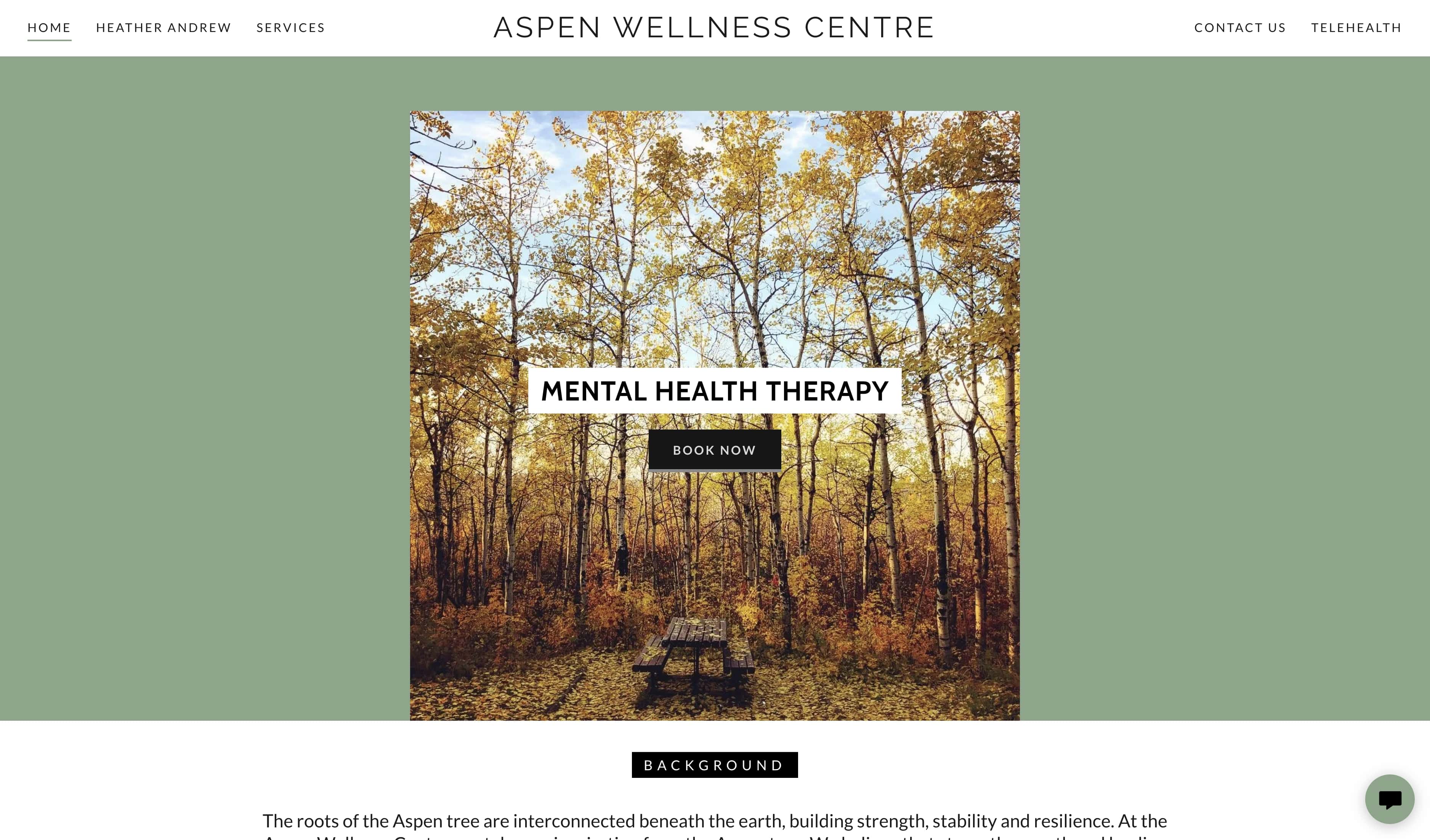 A screenshot of Aspen Wellness Centre's website before partnering with Kärna