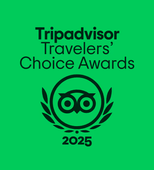 Tripadvisor Travelers' Choice Award Badge 