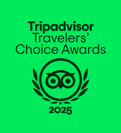 Tripadvisor Travelers' Choice Award Badge 