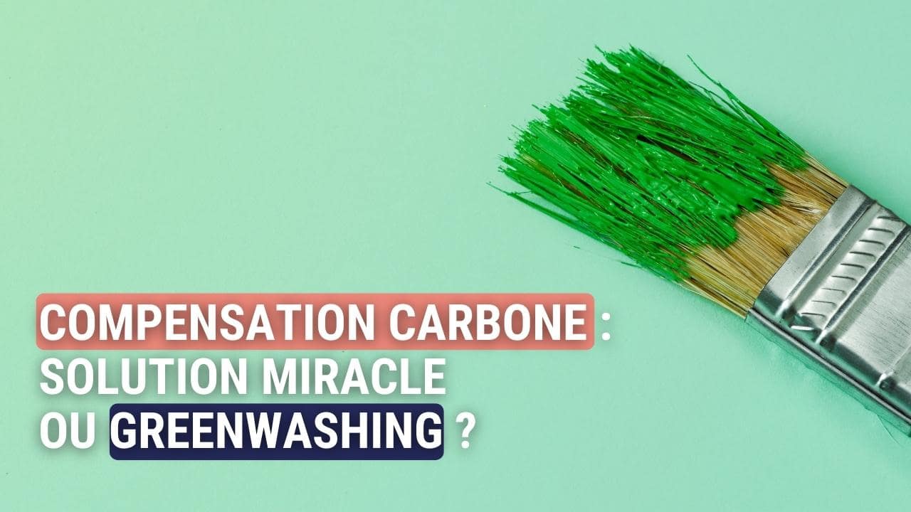Illustration de l'article : Compensation carbone, solution miracle ou greenwashing ?