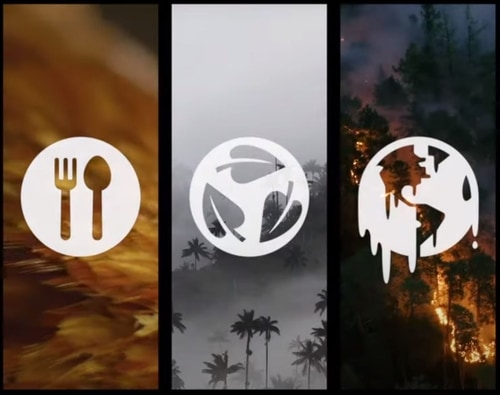 Klima-, Wirtschafts- und Gesundheitskrise