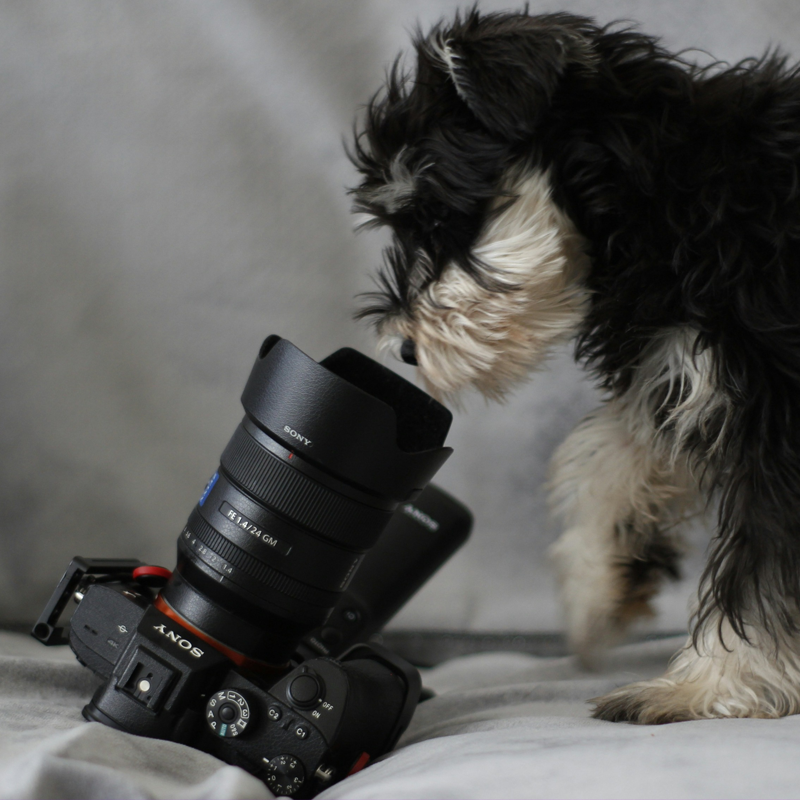 Live Webcam Integrations