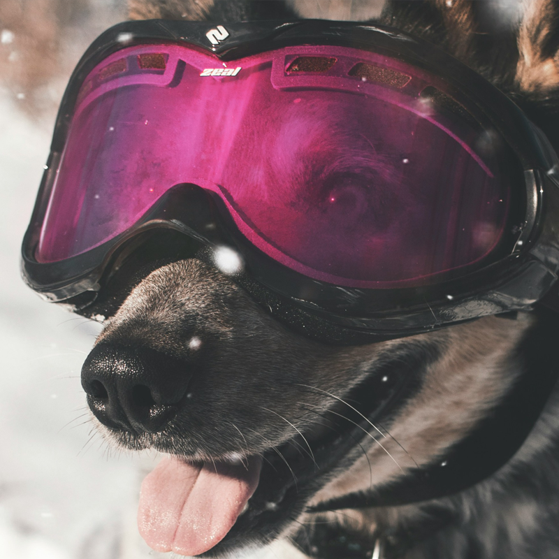 Updates to Boarding Bookings