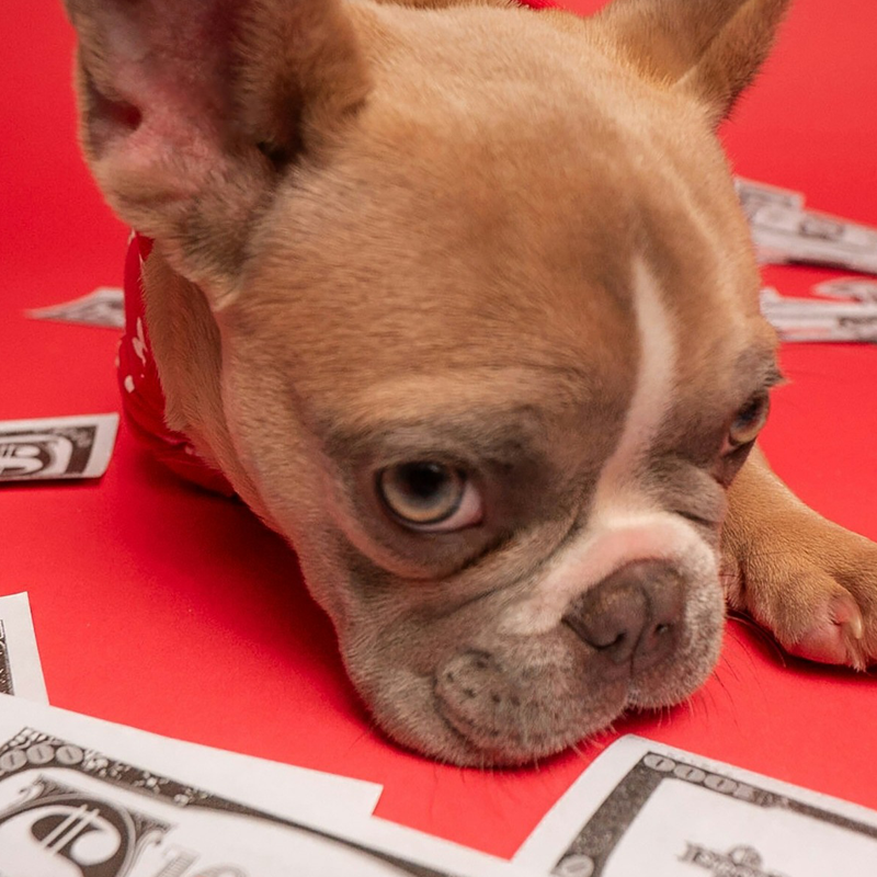 QuickBooks Integration Upgrade: Payments and Payouts Sync