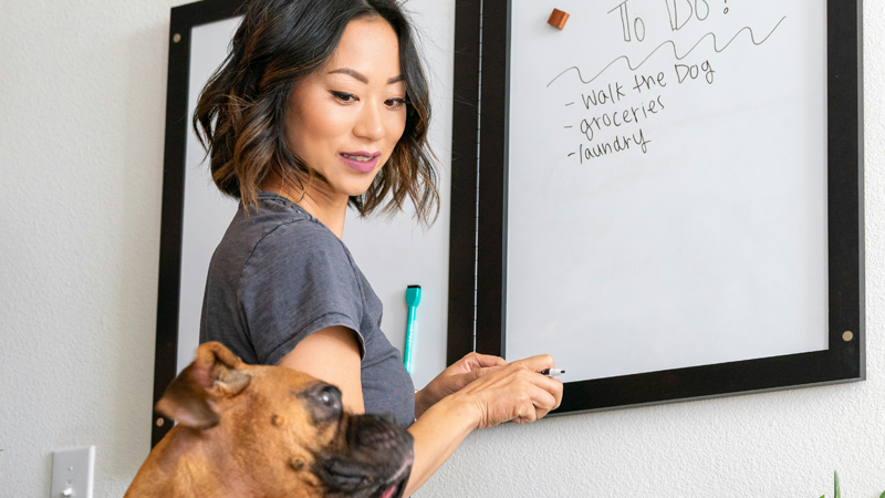 Organize your Team with Tasks!