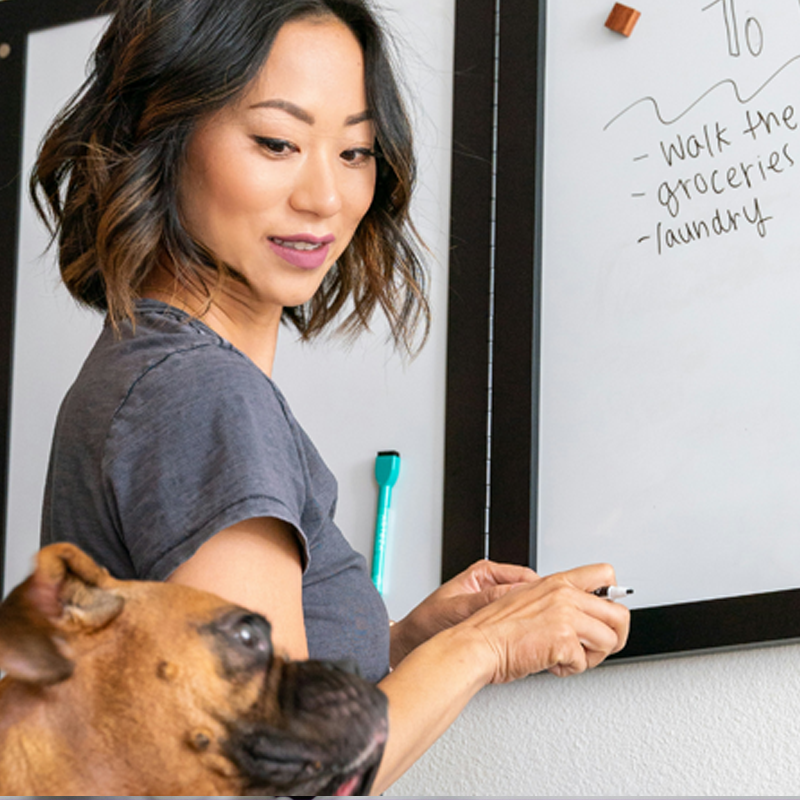 Organize your Team with Tasks!