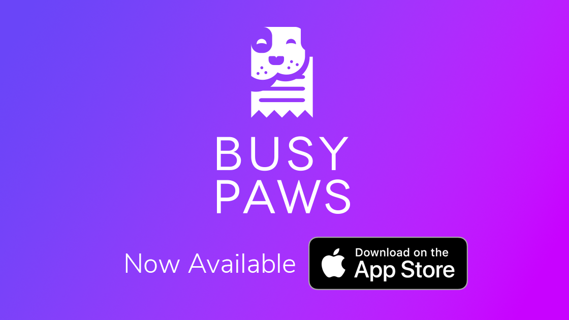 BusyPaws Companion App Now Available