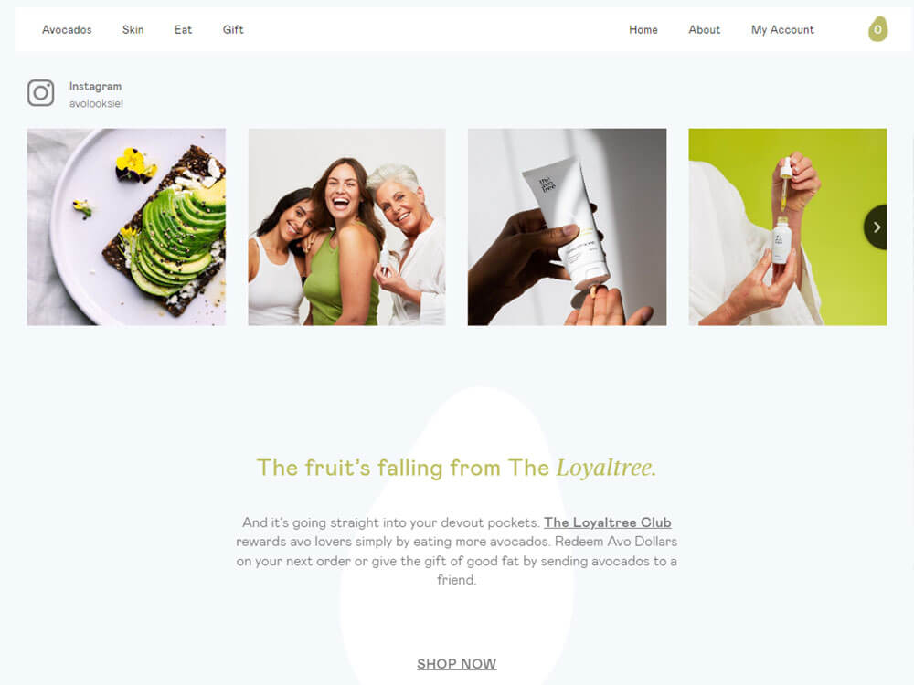 The Avo Tree - Design and Develop by Artistry Online