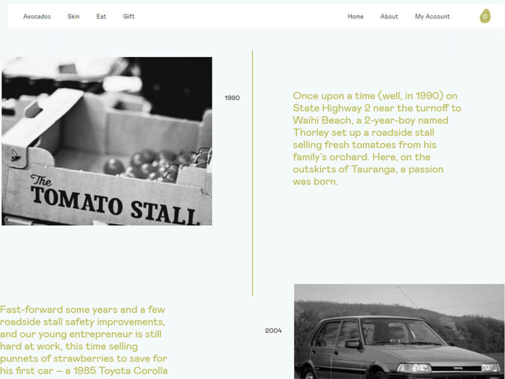 The Avo Tree - Design and Develop by Artistry Online