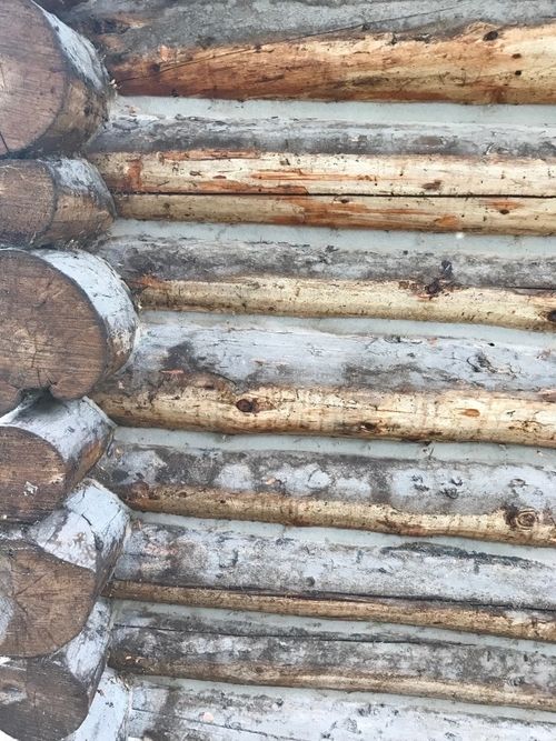 Canyon Creek - Exterior Before