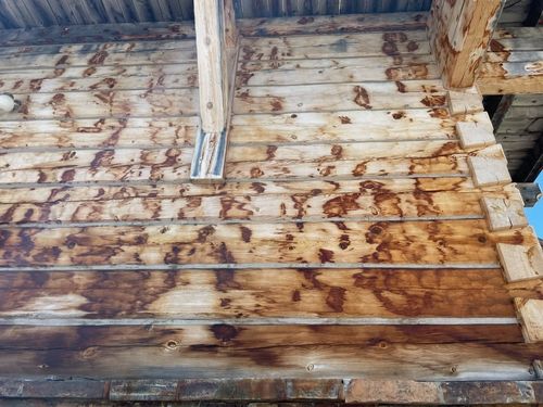 Water damage, exterior before