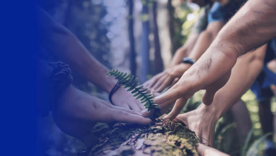 Hands reaching out to a small fern on a log, symbolizing collaboration in conservation efforts.