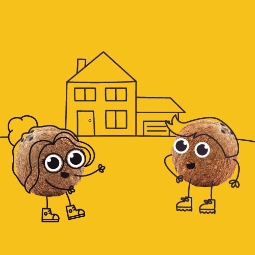 Jointly owned property under MTD: who reports what?