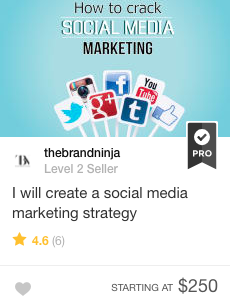 Social Media Marketing Strategy Fiverr Gig