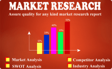 Fiverr market research gig offer