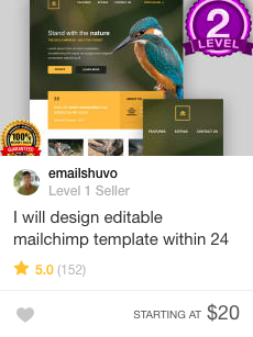 email design template Gig