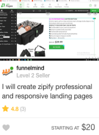 Fiverr landing page gig 