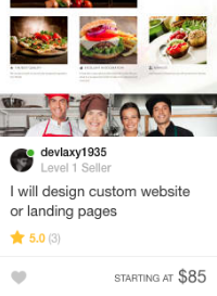 fiverr landing page gig