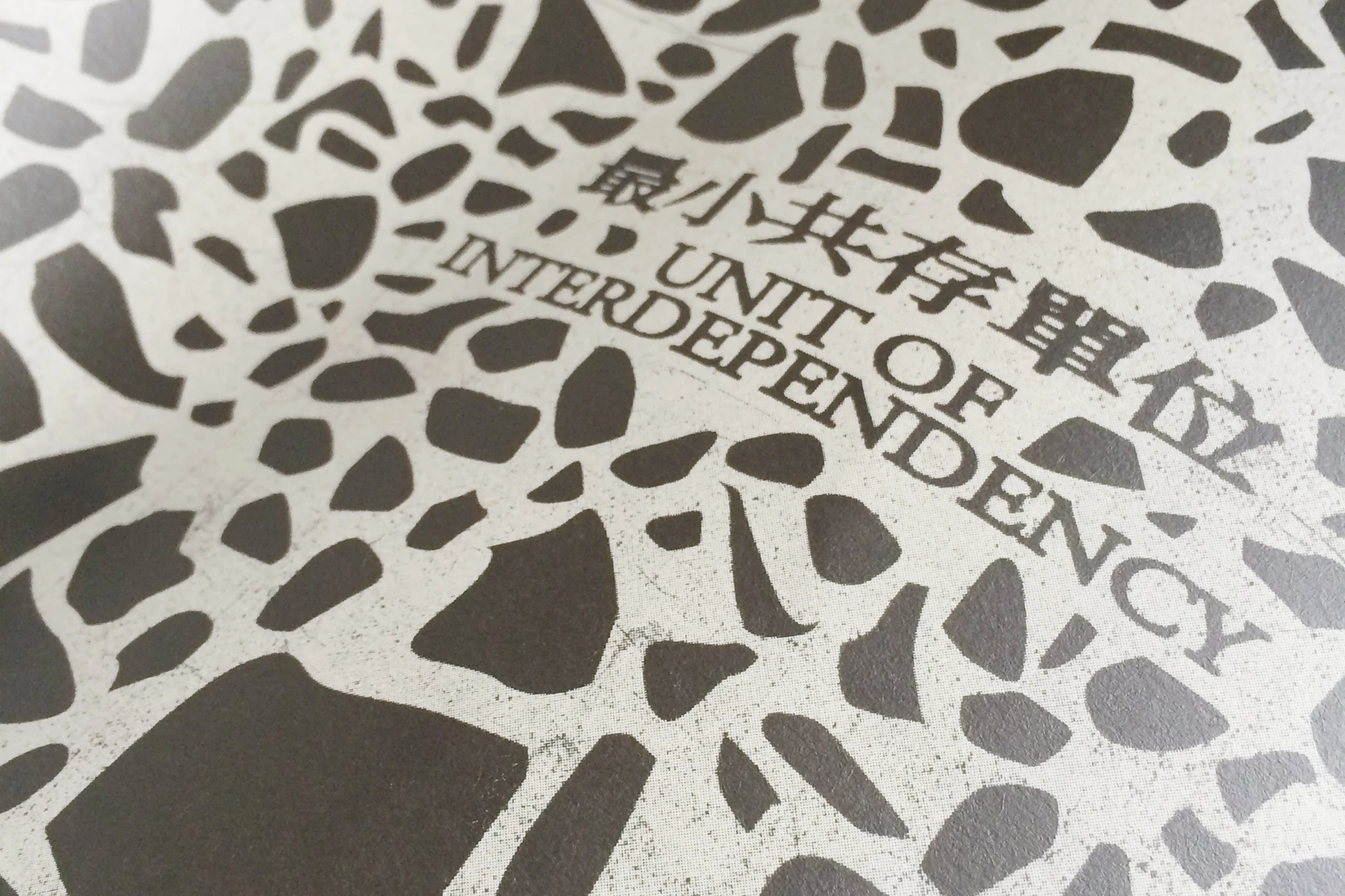 Unit of Interdependency — Pamphlet Design