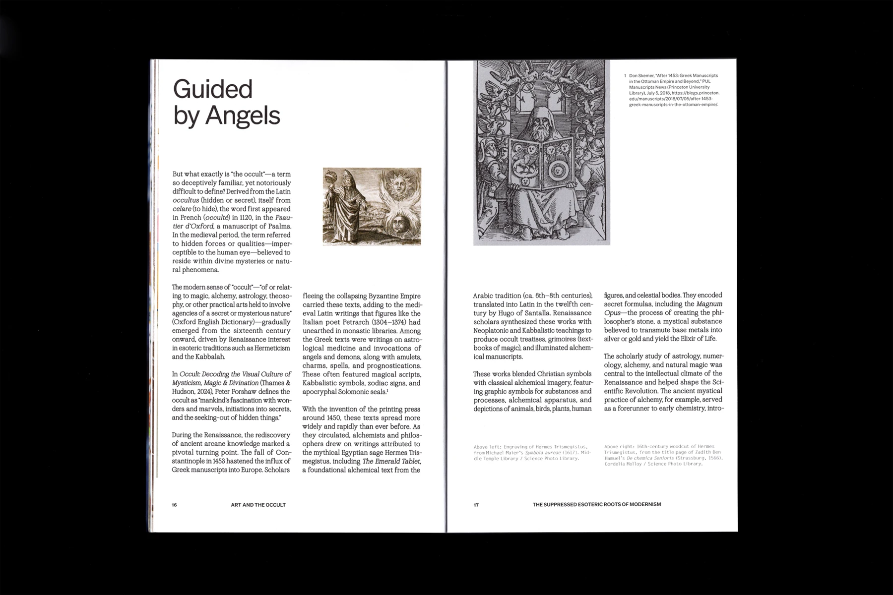 White Fungus Issue 18 — Inside Spread Layout