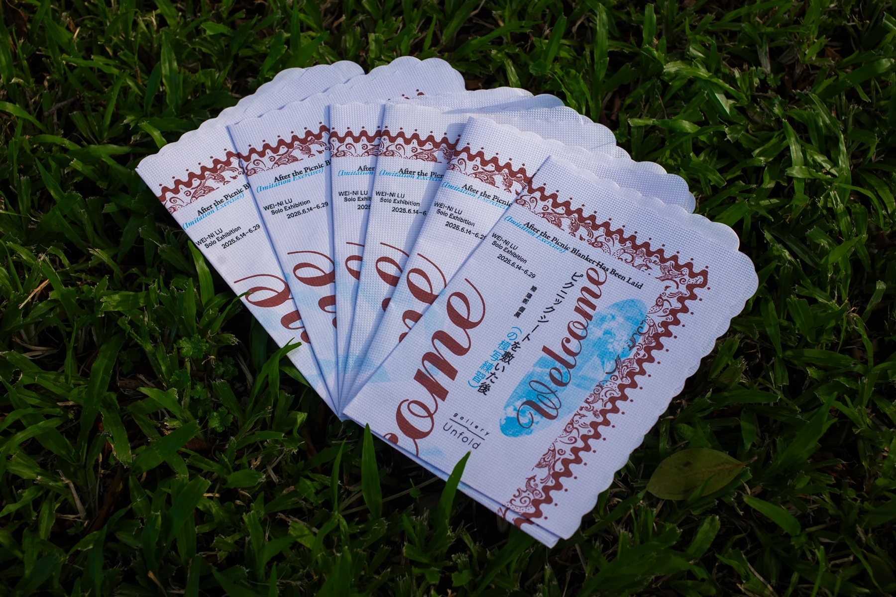 After the Picnic Blanket Has Been Laid — Flier Design