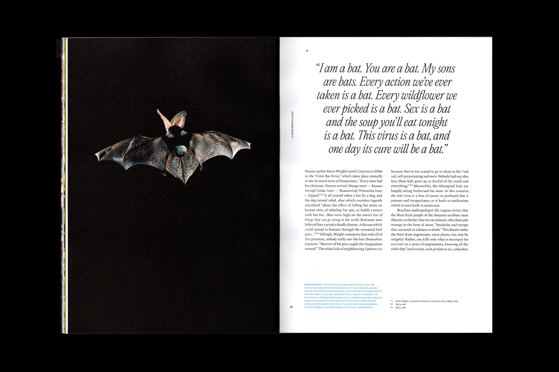 White Fungus Issue 17 — Inside Spread Layout