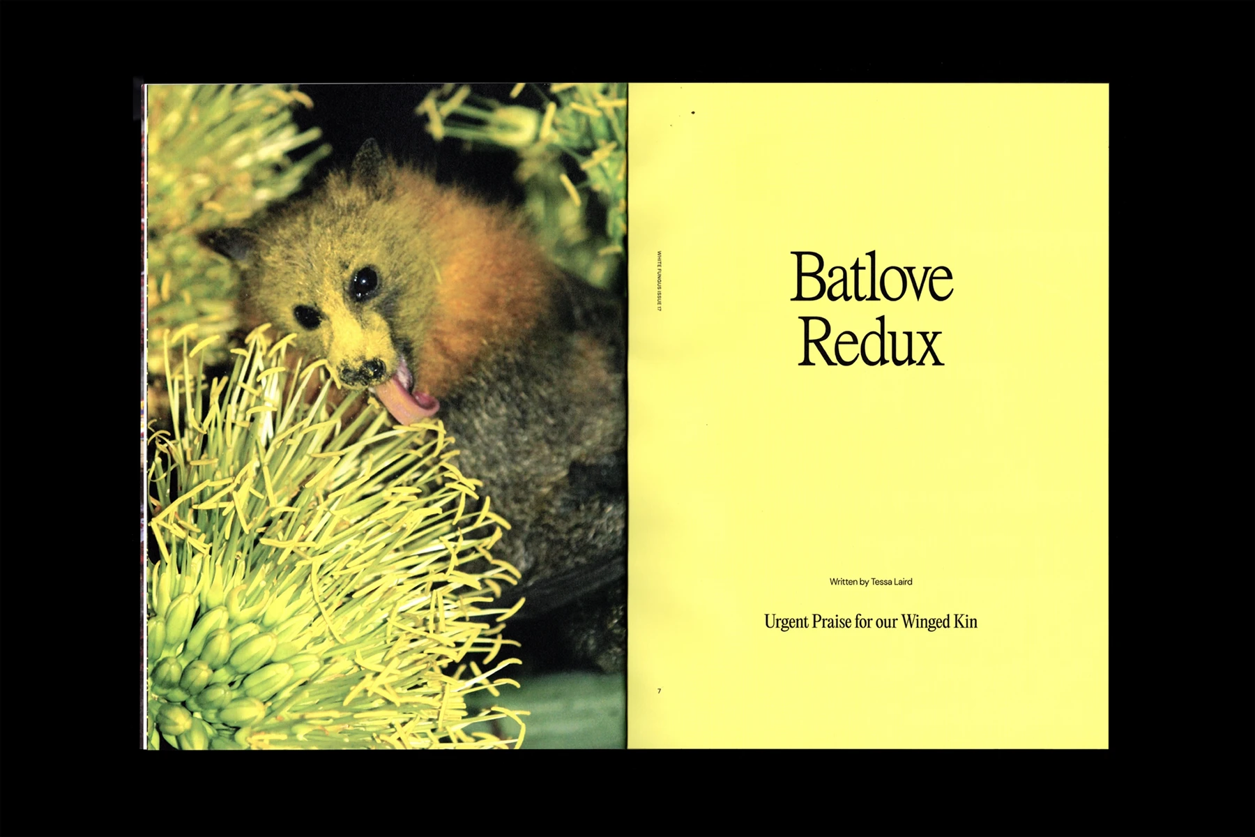 White Fungus Issue 17 — Inside Spread Layout