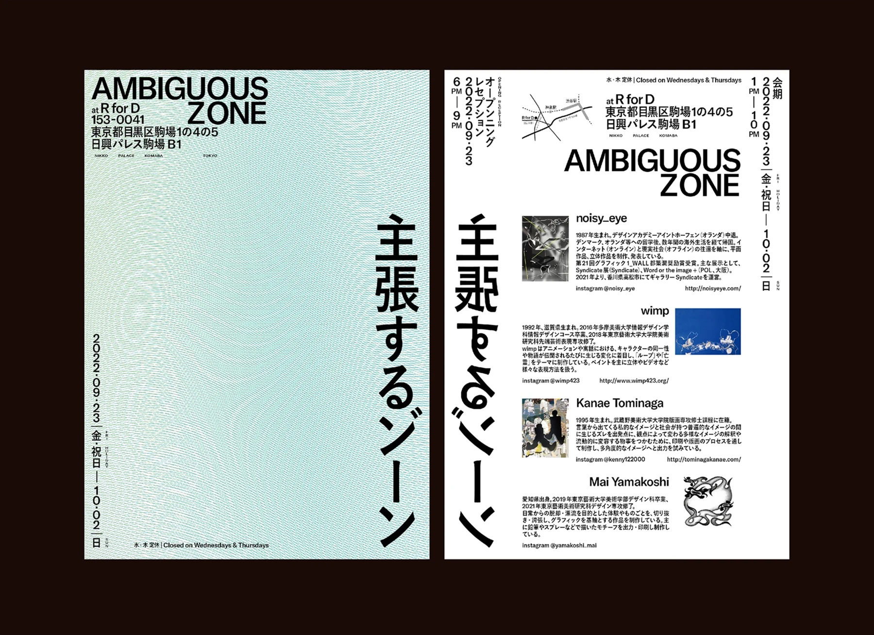 Ambiguous Zone — Flier Design